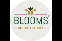Blooms out of the Box